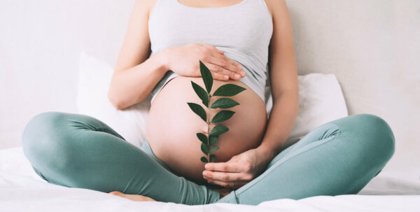 Pregnant woman holds green sprout plant near her belly as symbol of new life