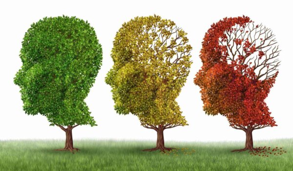 Η γήρανση του εγκεφάλου και η απώλεια μνήμης λόγω της άνοιας και της νόσου του Αλτσχάιμερ ως ιατρική εικόνα μιας ομάδας χρωματικών μεταβαλλόμενων φθινοπωρινών δέντρων που διαμορφώνονται ως ανθρώπινο κεφάλι χάνοντας φύλλα ως λειτουργία νοημοσύνης.