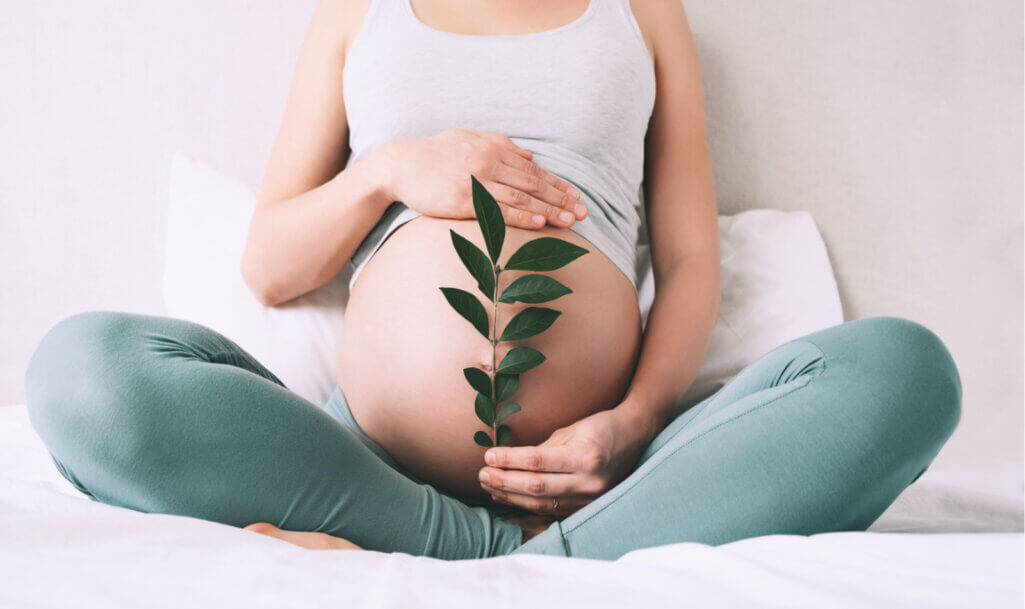 Η έγκυος κρατά πράσινο φυτό βλαστού κοντά στην κοιλιά της ως σύμβολο της νέας ζωής
