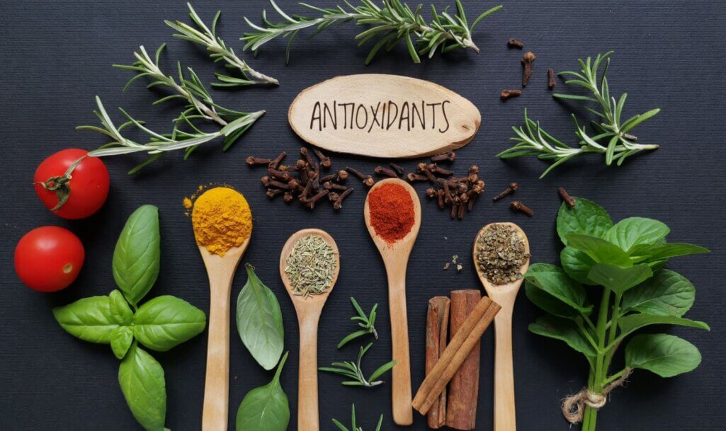 Set of various spices in wooden spoons and fresh herbs rich in antioxidants. Natural sources of antioxidants rosemary twigs, fresh green basil leaf, mint leaf, turmeric, clove, cinnamon, chili, tomato