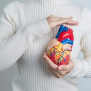 Γυναίκα κρατάει ένα μοντέλο καρδιάς στην περιοχή του σώματός της που βρίσκεται η καρδιά της. Κόνσεπτ καλής καρδιακής λειτουργίας και αποφυγή της καρδιακής ανεπάρκειας