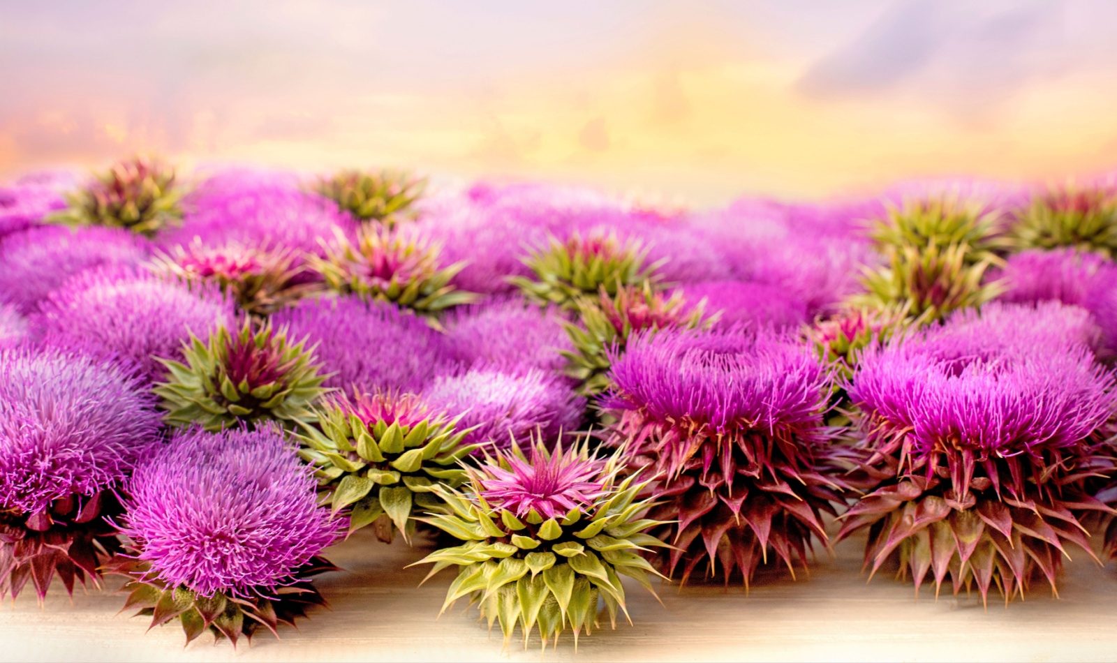 Yalangoch jinsiy aloqa bik va qizlar