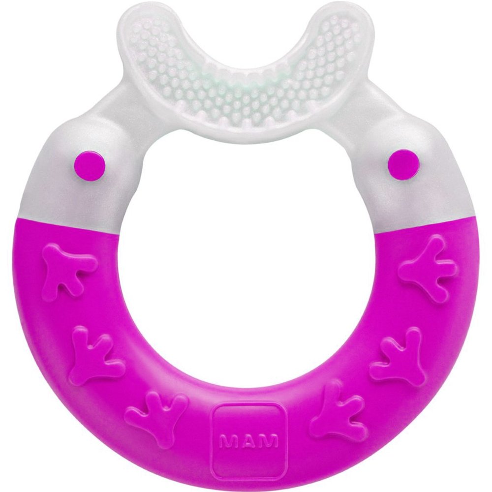 Mam Bite & Brush Teether 3m+ ΜωβΠολυκρίκος Οδοντοφυΐας για Καθαρισμού Δοντιών & Μασάζ στα Ευαίσθητα Ούλα για Μωρά από 3 Μηνών 1 Τεμάχιο, Κωδ 560