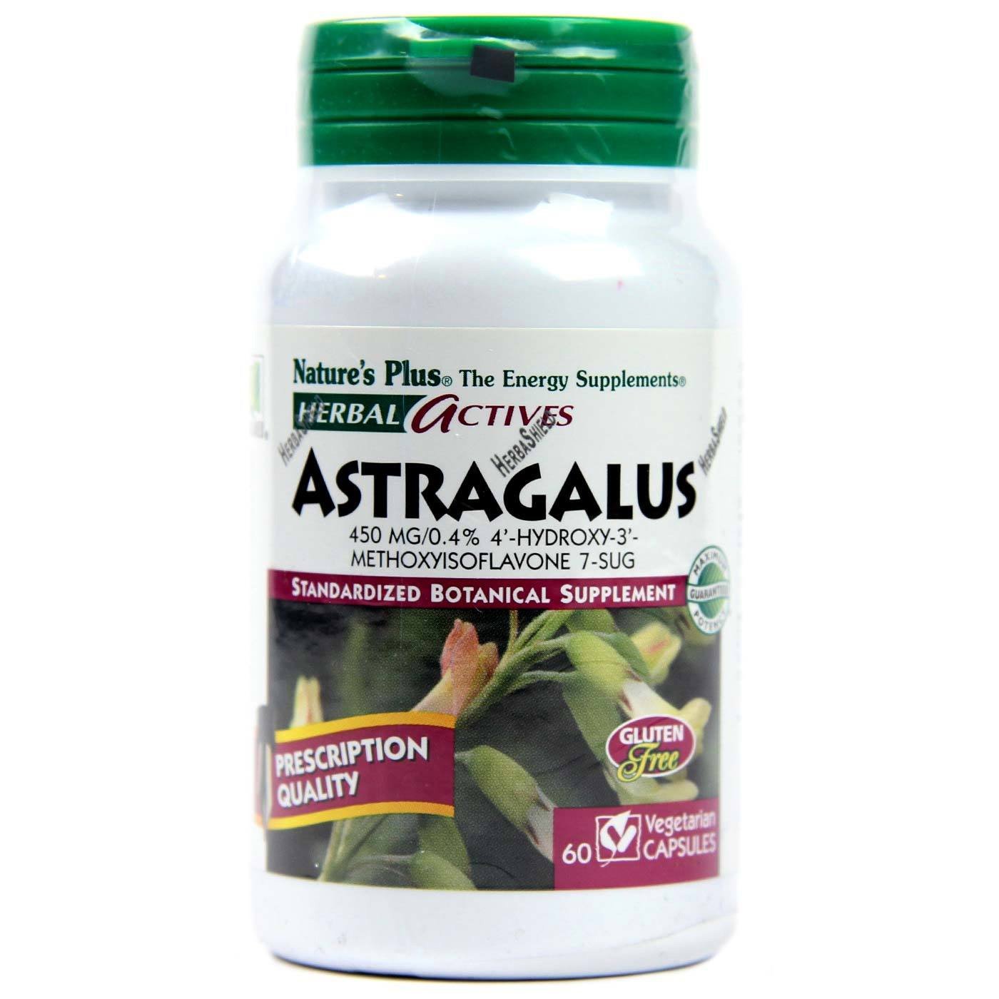 Natures Plus Astragalus 450mg – Συμπλήρωμα Διατροφής για Ανοσοποιητικό, 60 veg caps
