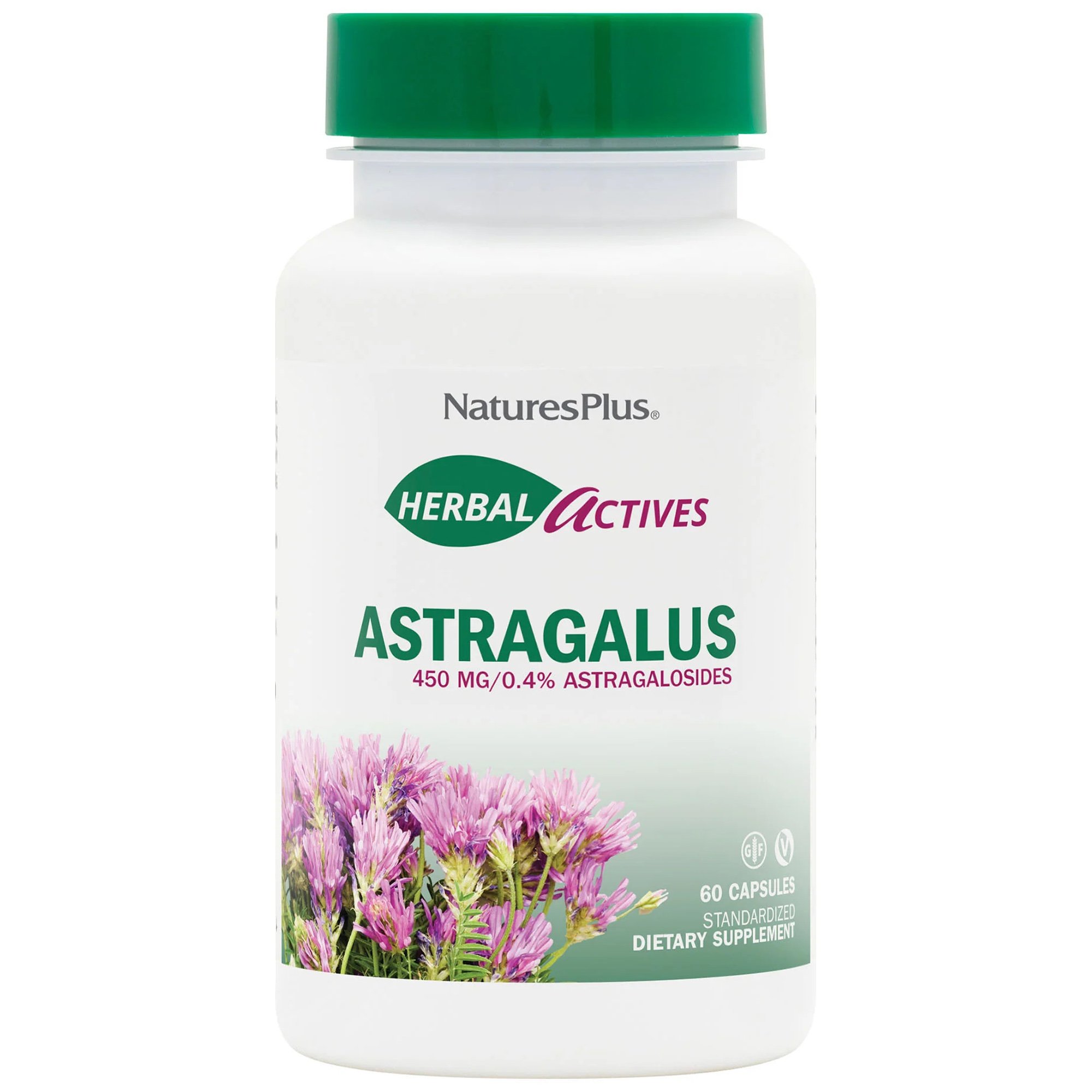 Natures Plus Natures Plus Astragalus 450mg Συμπλήρωμα Διατροφής Εκχυλίσματος του Βοτάνου Αστράγαλου για την Ενεργοποίηση & Ενίσχυση του Ανοσοποιητικού Συστήματος με Αντιφλεγμονώδεις Ιδιότητες 60caps