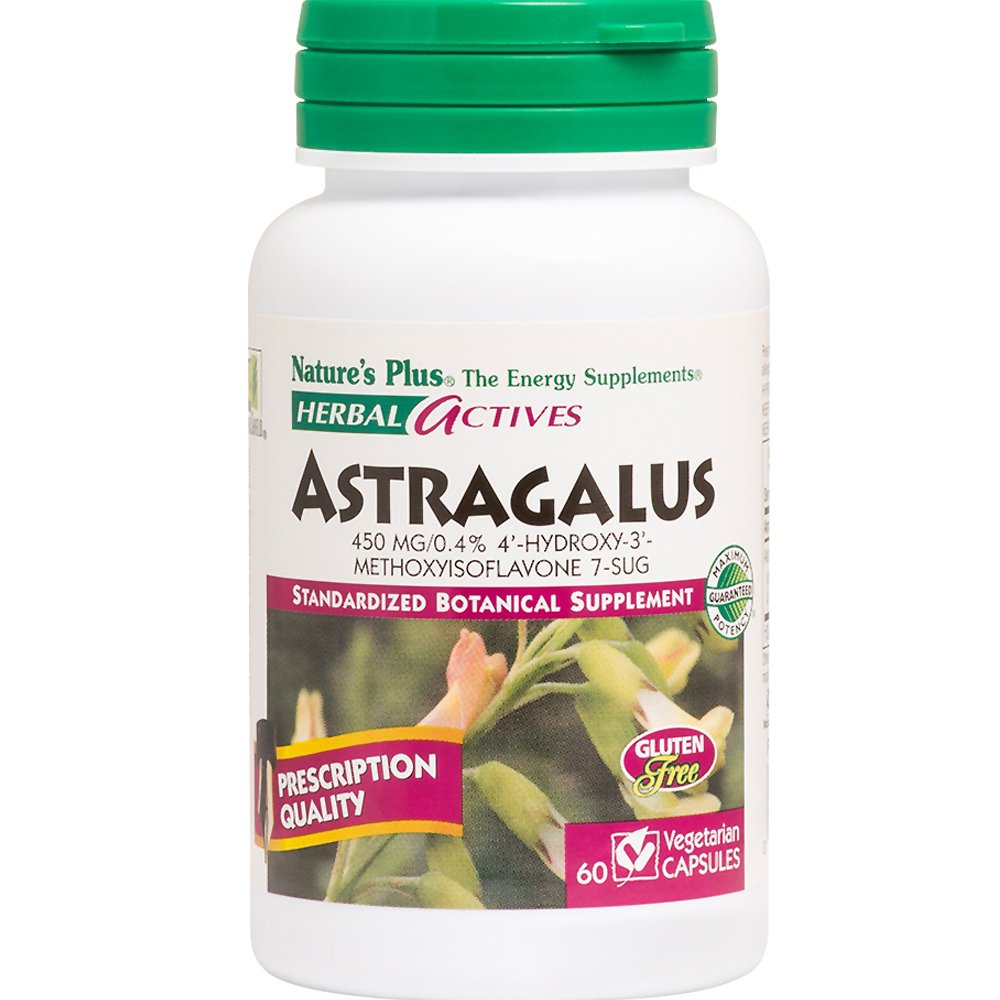 Natures Plus Astragalus 450mg Συμπλήρωμα Διατροφής Εκχυλίσματος του Βοτάνου Αστράγαλου για την Ενεργοποίηση & Ενίσχυση του Ανοσοποιητικού Συστήματος με Αντιφλεγμονώδεις Ιδιότητες 60caps