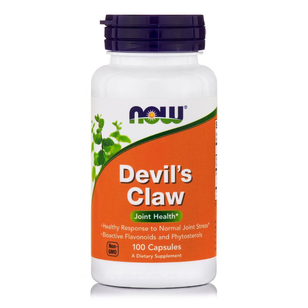 Now Foods Devil’s Claw 500mg Συμπλήρωμα Διατροφής με Αντιφλεγμονώδεις Ιδιότητες, Ιδανικό για Μυϊκούς Πόνους 100 Caps
