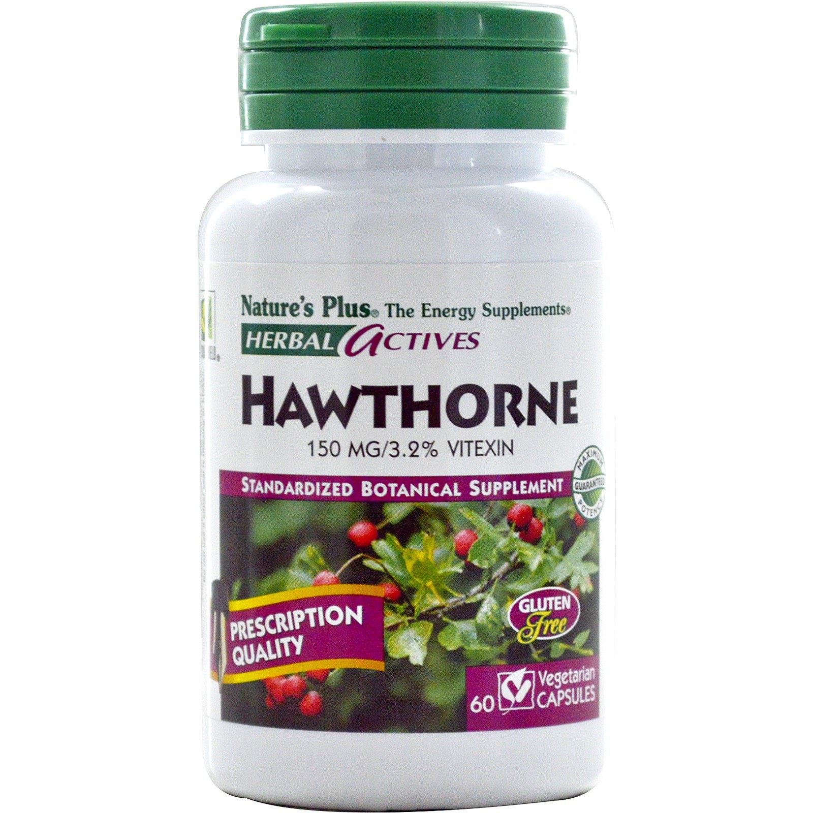 Nature’s Plus Hawthorne 150 mg Συμπλήρωμα Διατροφής από Τιτλοδοτημένο Εκχύλισμα Hawthorn με Αντιοξειδωτικές Ιδιότητες 60caps