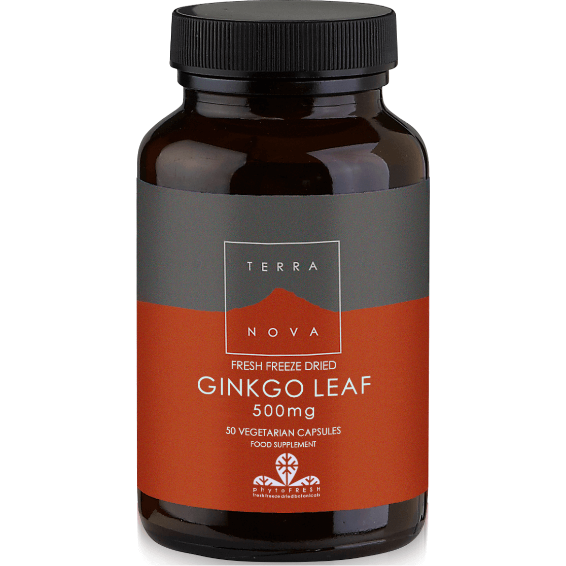 Terranova Ginkgo Leaf 500mg Το Μόνο Ginkgo στη Φυσική του Μορφή για Δυνατή Μνήμη 50veg. caps