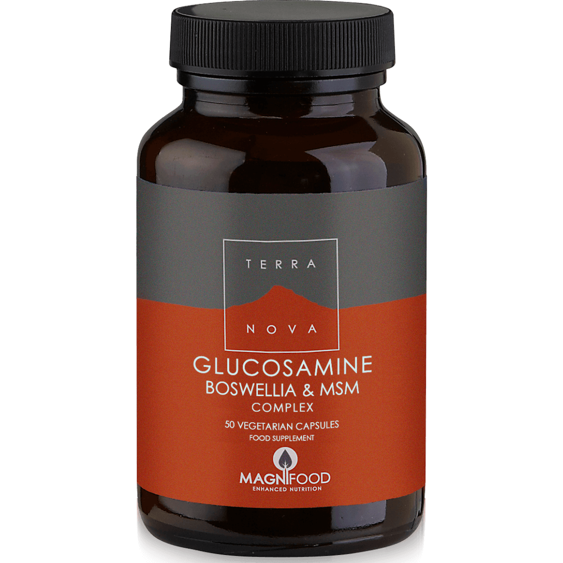 Terranova Glucosamine, Boswellia & ΜSM Complex – Joint Support 100% Φυτική Σύνθεση για τα Προβλήματα των Αρθρώσεων 50caps