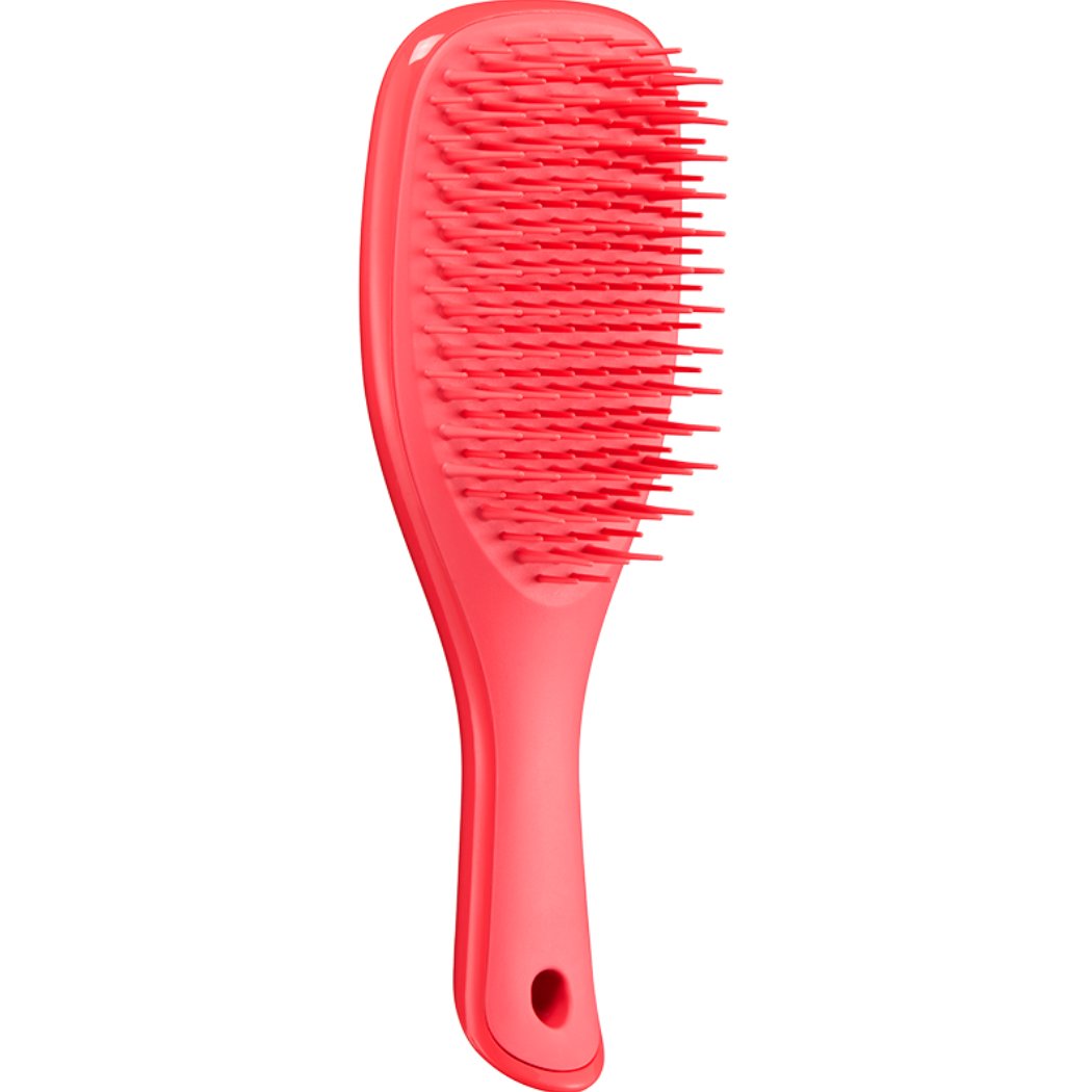 Tangle Teezer Detangling Mini Hair Brush Travel Size Pink Punch Βούρτσα Μικρού Μεγέθους για Βρεγμένα Μαλλιά 1 Τεμάχιο