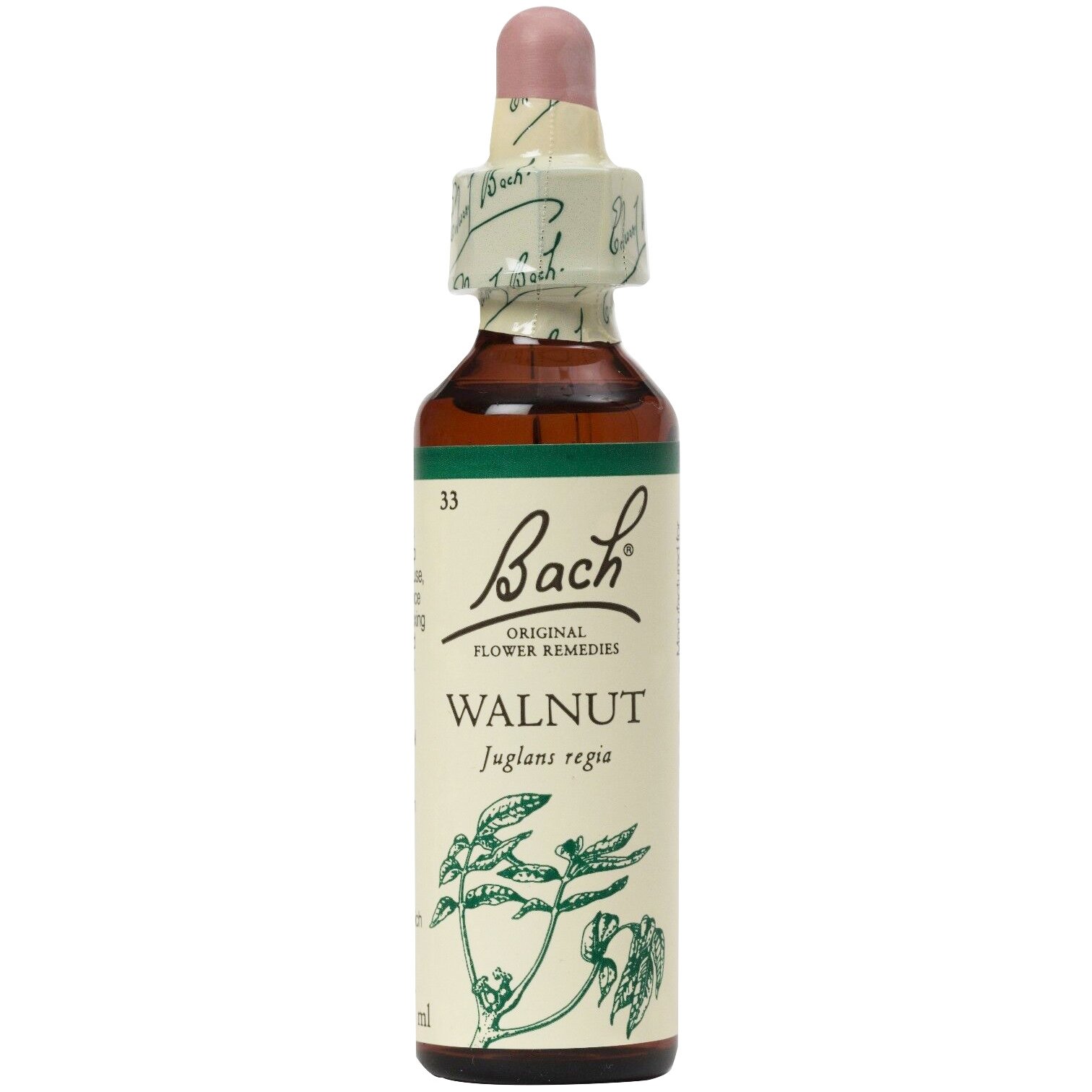 Bach Walnut Συμπλήρωμα Διατροφής Ανθοϊάματος με Εκχύλισμα Καρυδιού για Αυτοπεποίθηση & Έλεγχο των Καταστάσεων 20ml