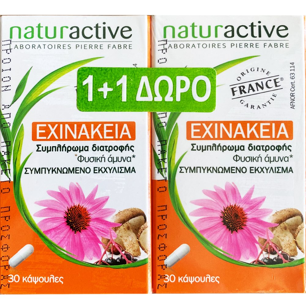 Naturactive Promo Echinacea Συμπλήρωμα Διατροφής με Εκχύλισμα Εχινάκειας για Ενίσχυση του Ανοσοποιητικού Συστήματος 60caps