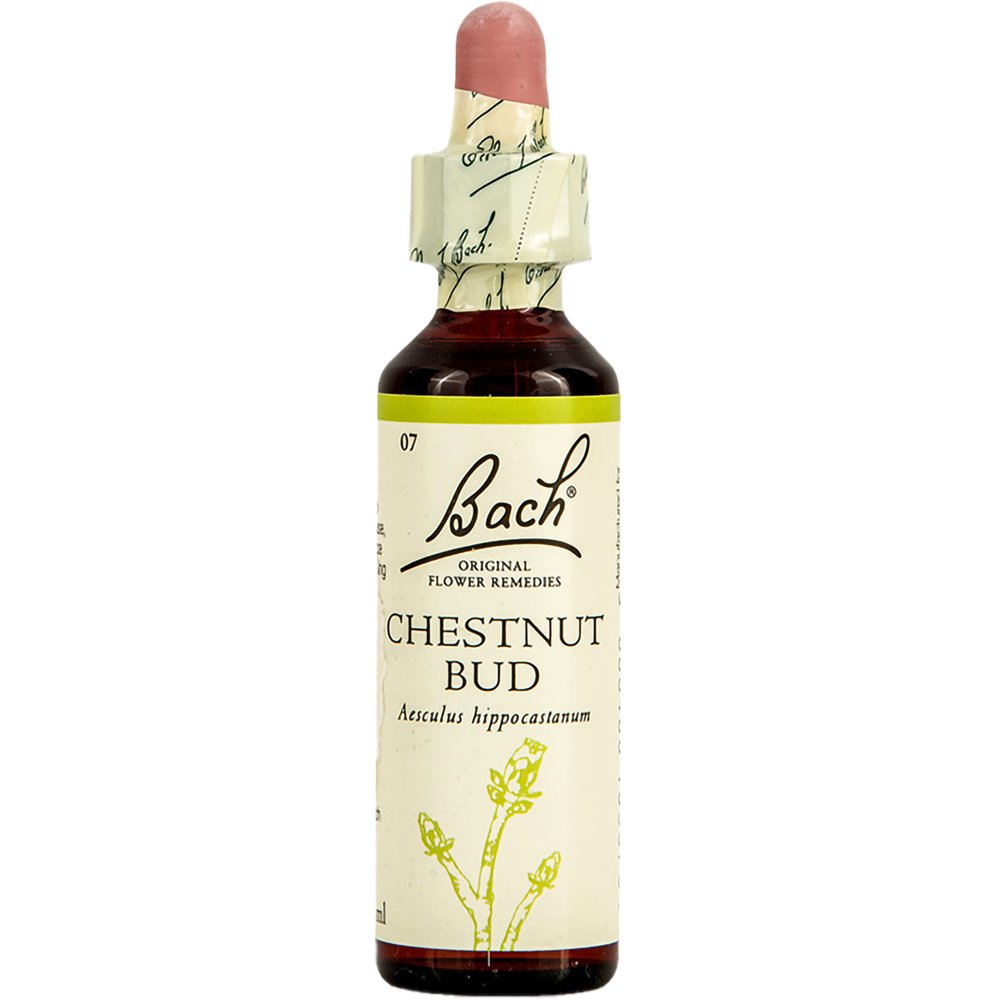 Bach Bach Chestnut Bud Συμπλήρωμα Διατροφής Ανθοϊάματος με Εκχύλισμα Αγριοκαστανιάς για Ενίσχυση της Αποφασιστικότητας & της Αντίληψης 20ml