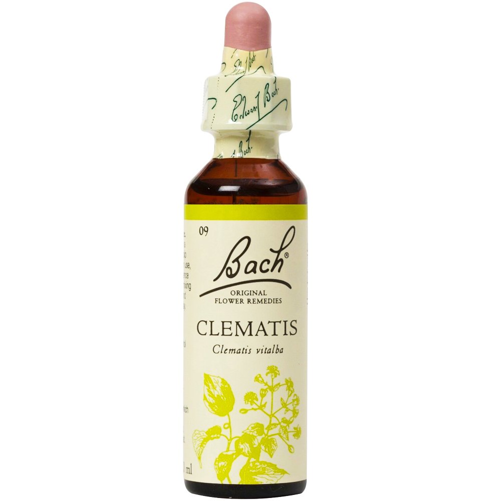Bach Clematis Συμπλήρωμα Διατροφής Ανθοϊάματος με Εκχύλισμα Κληματίδας για Επαναφορά των Σκέψεων στο Παρόν & Επικέντρωση Προσοχής στην Πραγματικότητα 20ml