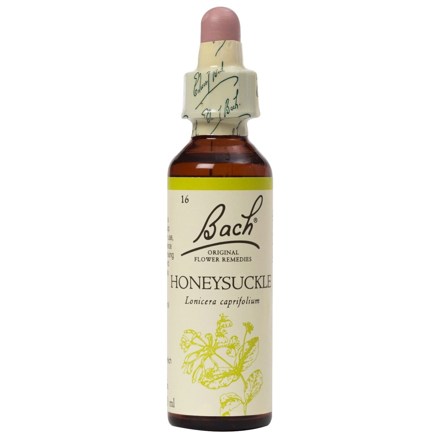 Bach Honeysuckle Συμπλήρωμα Διατροφής Ανθοϊάματος με Εκχύλισμα Αγιοκλήματος για την Αντιμετώπιση του Αισθήματος της Μελαγχολίας & της Κατάθλιψης 20ml