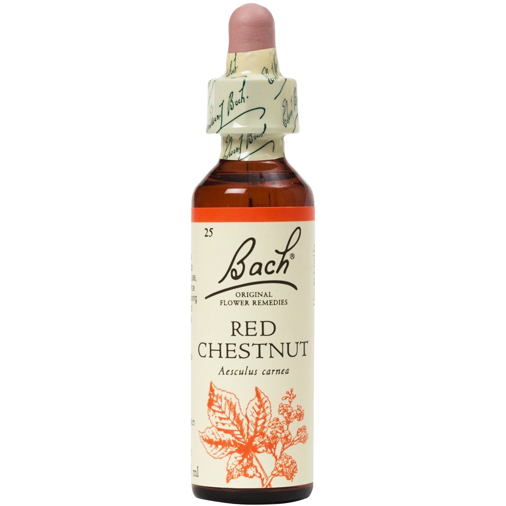 Bach Bach Red Chestnut Συμπλήρωμα Διατροφής Ανθοϊάματος με Εκχύλισμα Κόκκινης Αγριοκαστανιάς για Καταπολέμηση Συναισθημάτων Φόβου 20ml