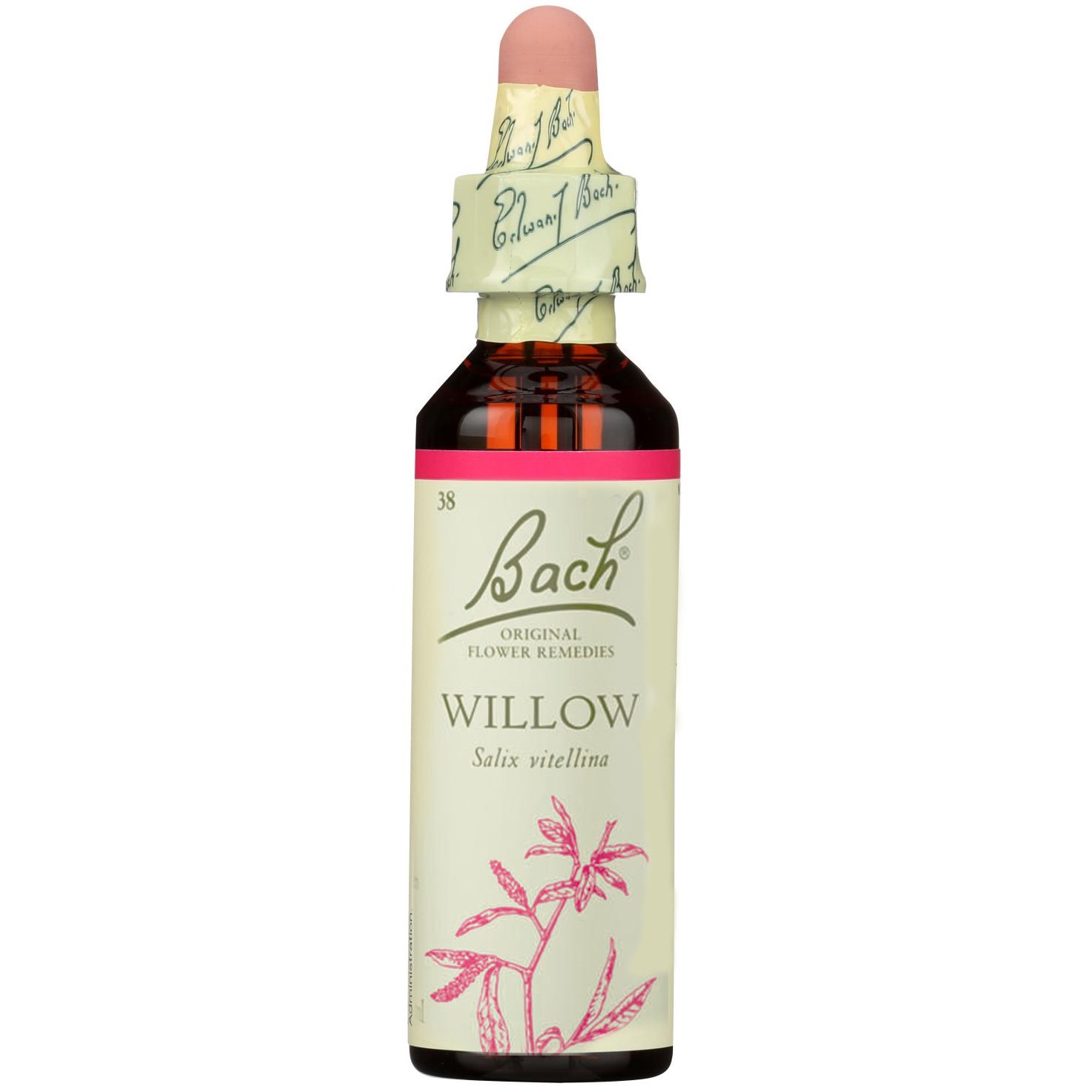 Bach Willow Συμπλήρωμα Διατροφής με Εκχύλισμα Ιτιάς για Ενίσχυση της Αισιοδοξίας & της Θετικής Διάθεσης 20ml
