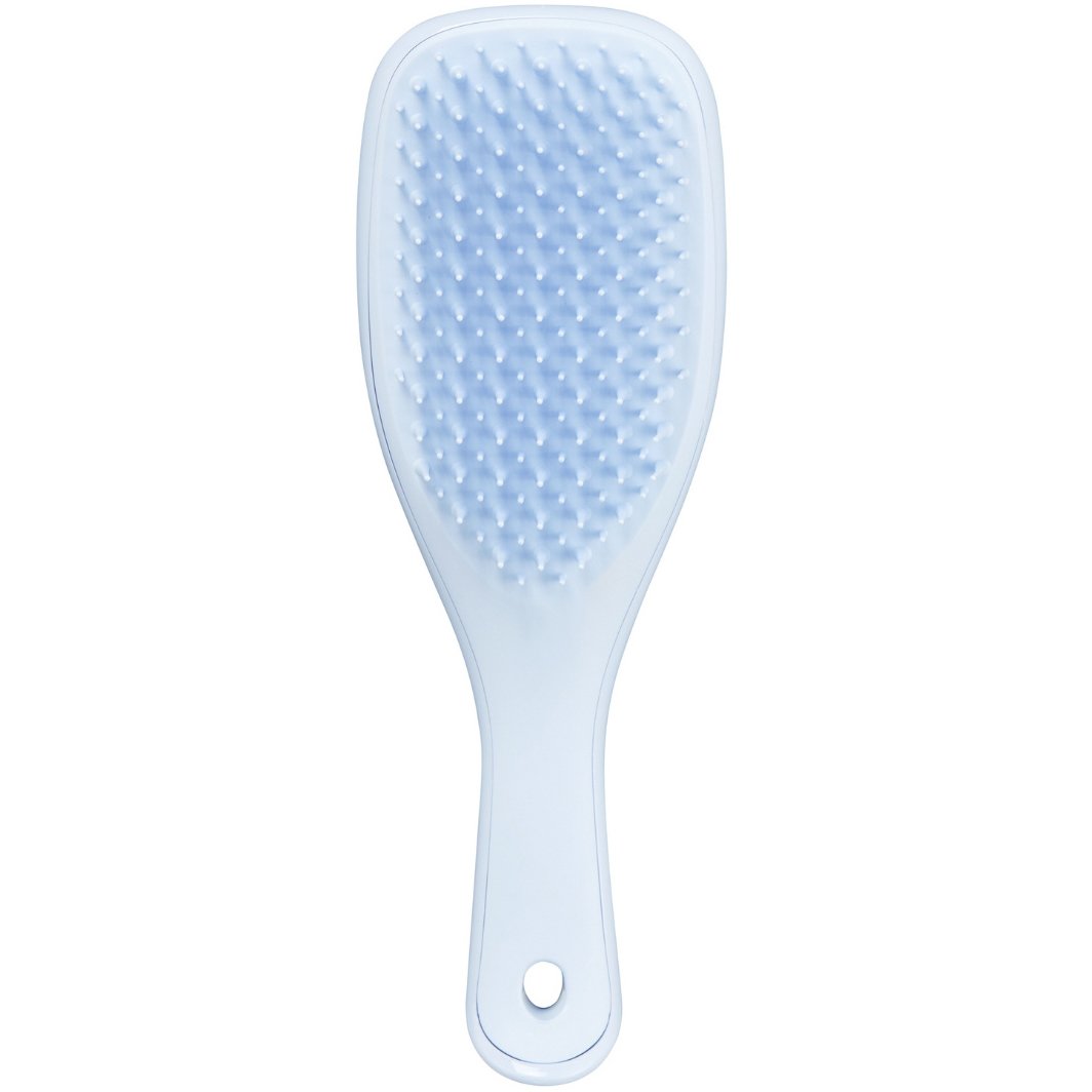 Tangle Teezer Wet Detangler Mini Hairbrush Travel Size Ιδανική Βούρτσα Μικρού Μεγέθους για Βρεγμένα Μαλλιά 1 Τεμάχιο – Sweet / Lavender