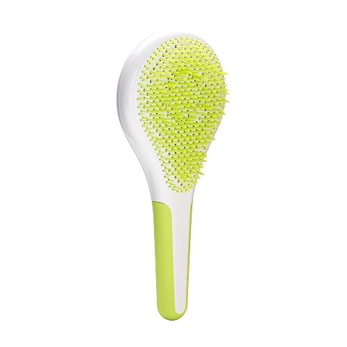 Michel Mercier Michel Mercier Wet'N Dry Detangling Hair Brush Normal τη Φροντίδα που Χρειάζονται τα Βρεγμένα και Εύθραυστα Μαλλιά 1 τεμάχιο