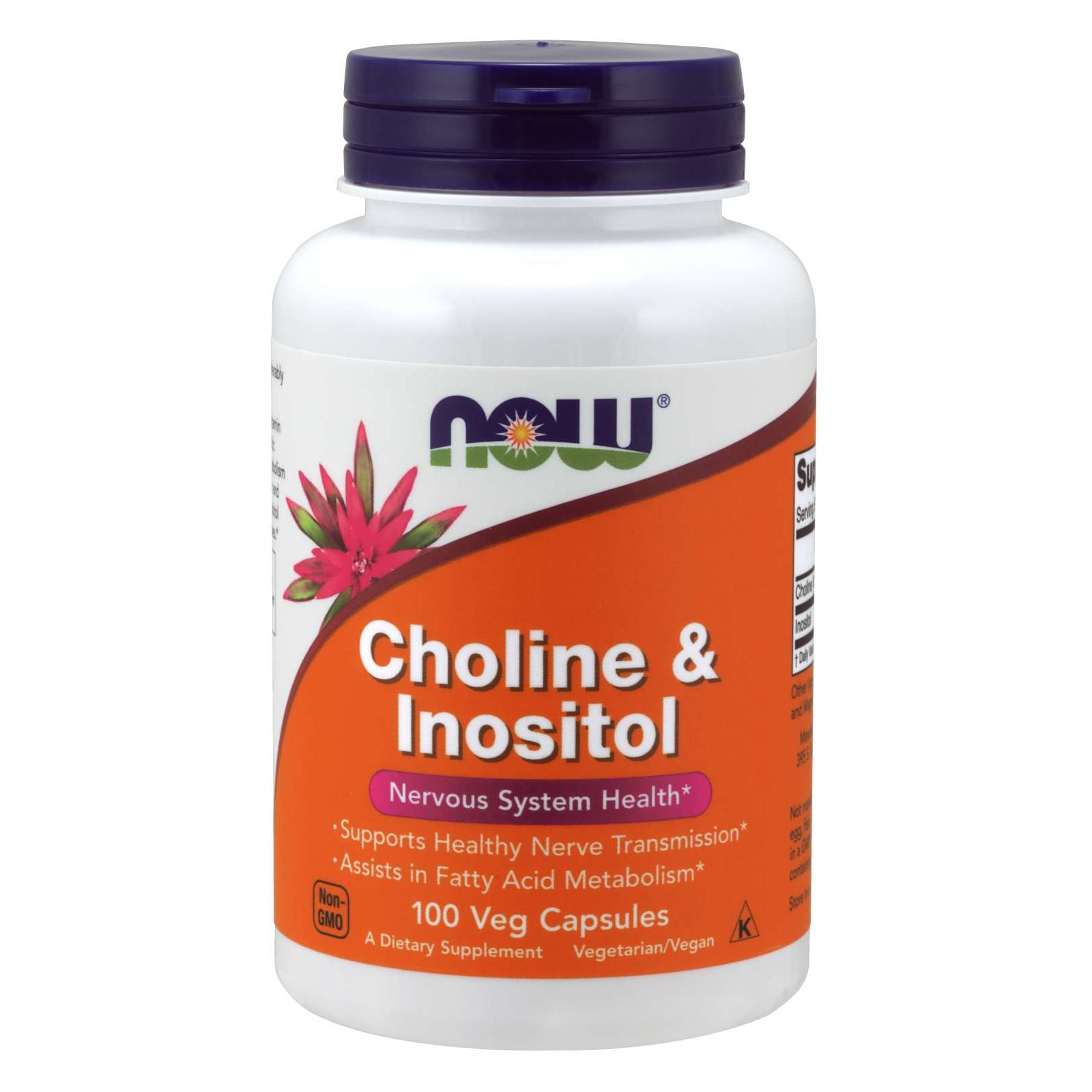 Now Foods Choline & Inositol 250/250mg Συμπλήρωμα Διατροφής για τον Σωστό Μεταβολισμό των Λιπών & της Χοληστερίνης 100 vegcaps