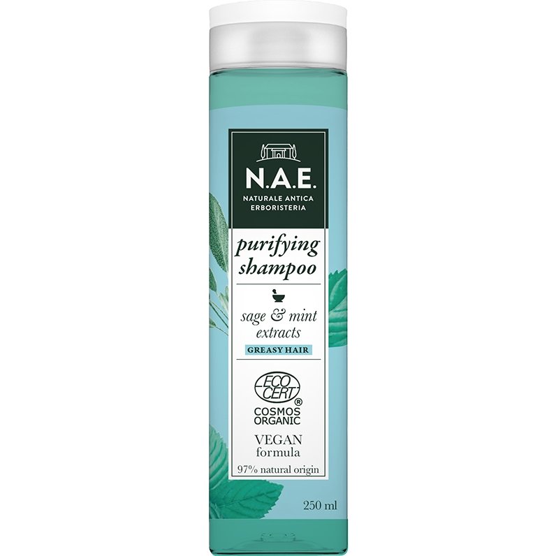 Ν.Α.Ε. Equilibrio Purifying Shampoo Σαμπουάν για Λιπαρά Μαλλιά 250ml