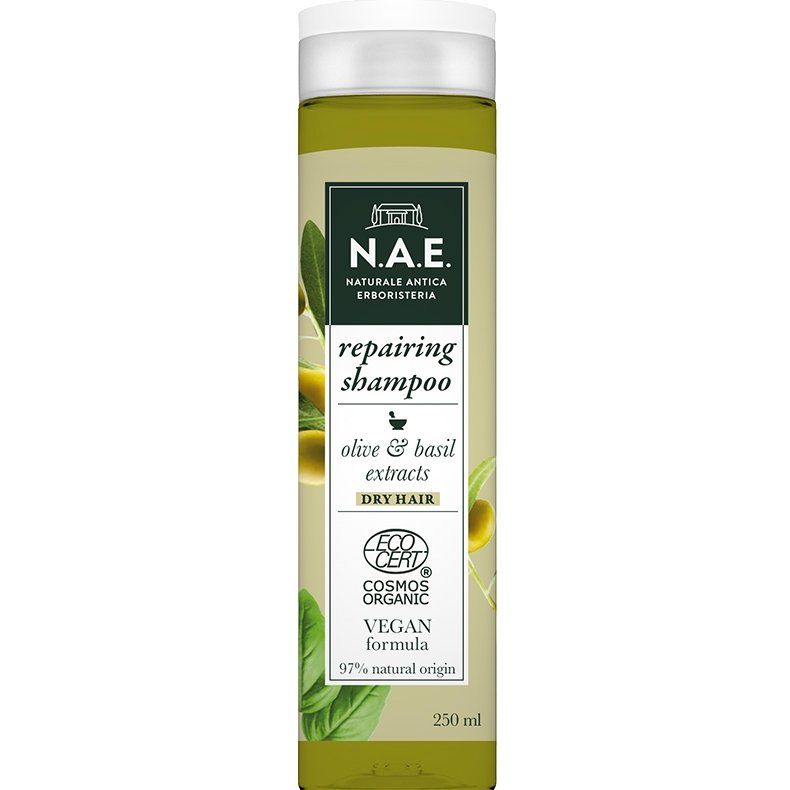 N.A.E. Riparazione Repairing Shampoo Σαμπουάν Επανόρθωσης για Ξηρά Μαλλιά 250ml