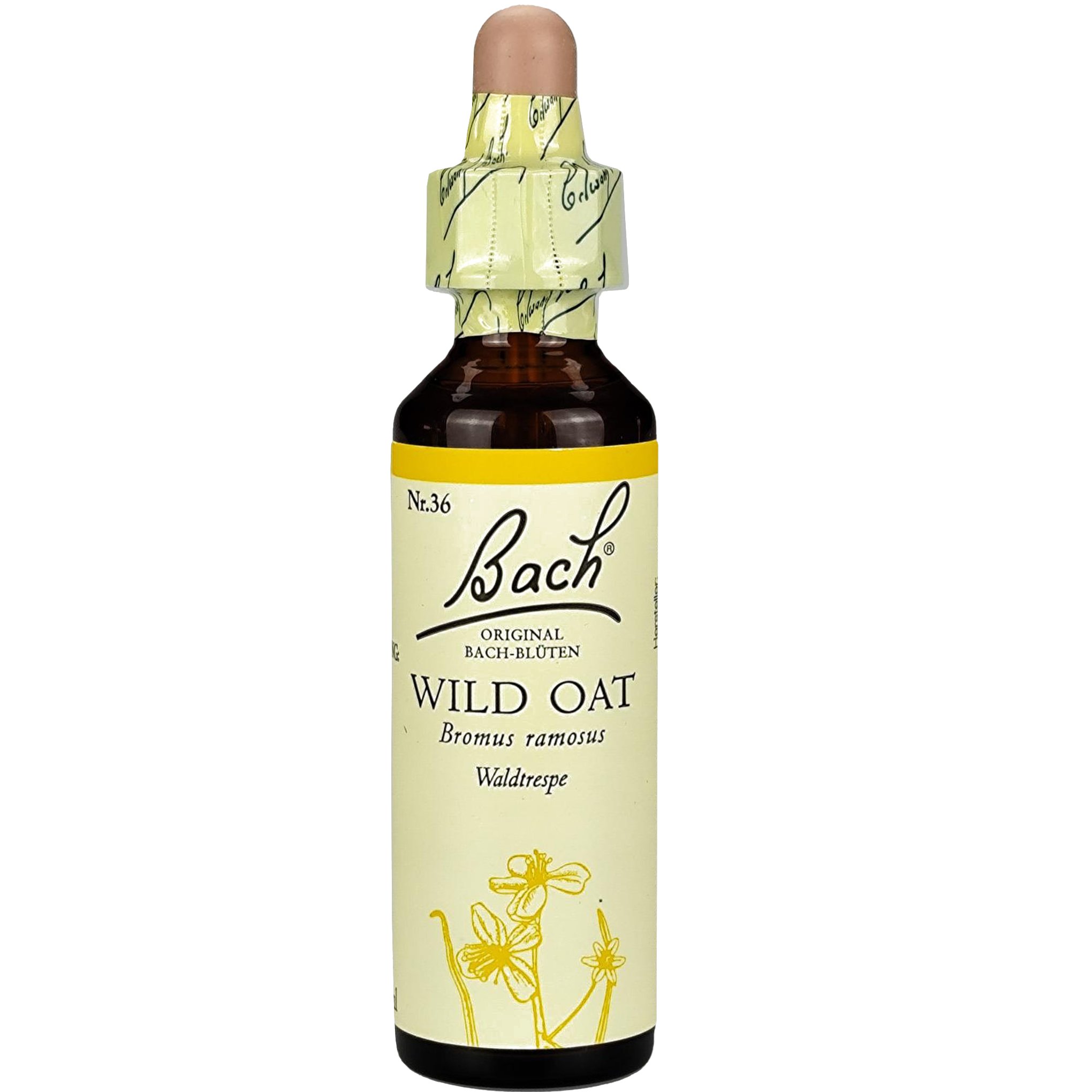 Bach Bach Wild Oat (Bromus Ramosus) Συμπλήρωμα Διατροφής με Εκχύλισμα Άγριας Βρώμης για Πνευματική Διαύγεια 20ml