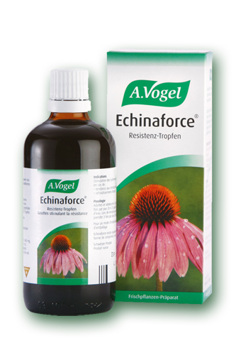 A.Vogel Echinaforce Αντιμετώπιση Των Κρυολογημάτων Του Συναχιού Των Ιώσεων 50ml