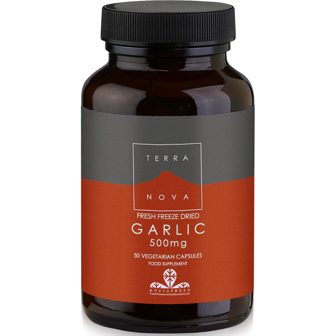Terranova Garlic 500mg Βιολογικό Σκόρδο Κατάλληλο για Προστασία του Καρδιαγγειακού Συστήματος 50veg.caps