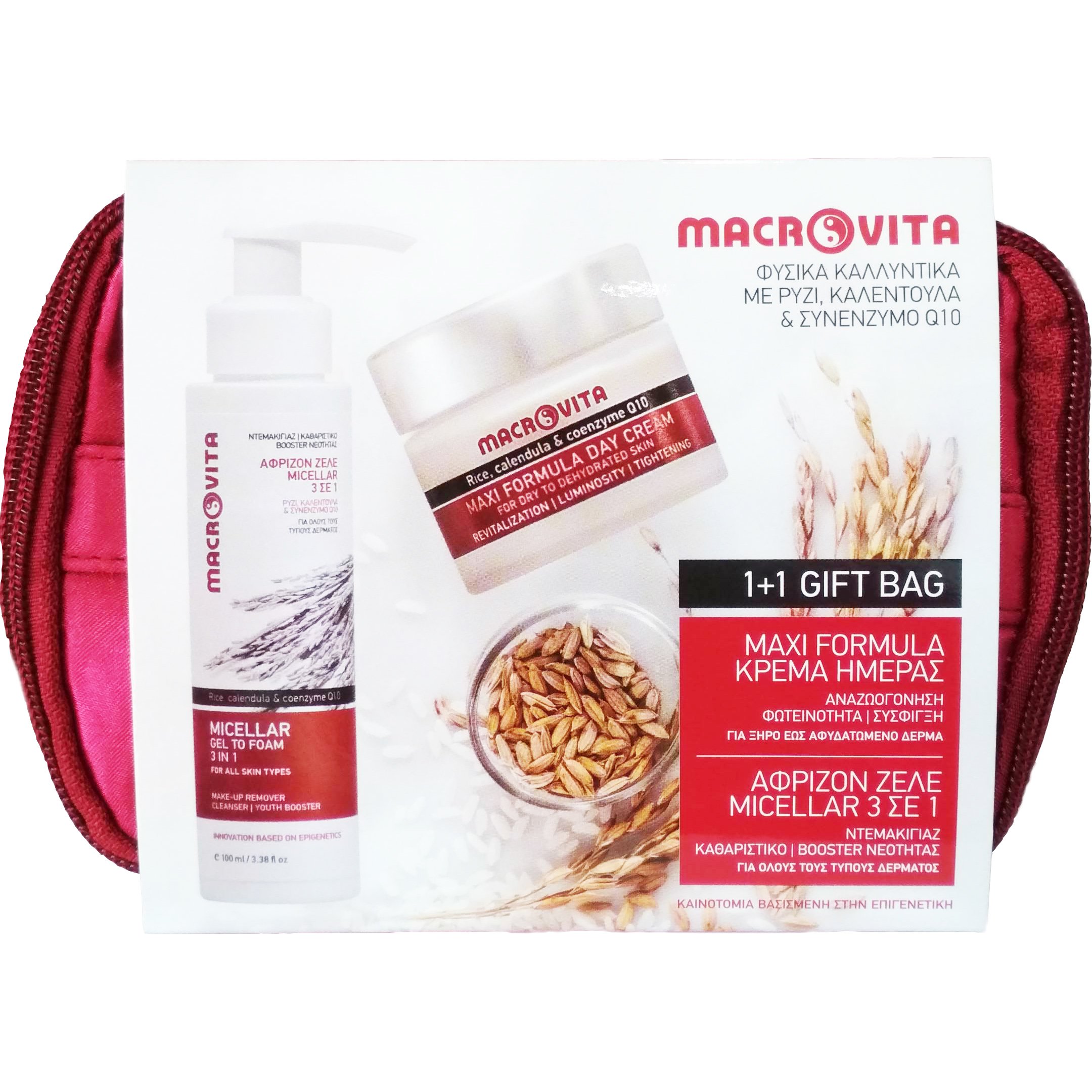 Macrovita Macrovita Πακέτο Προσφοράς Micellar Gel to Foam 3 in 1, 100ml & Maxi Formula Day Cream Dry/Dehydrated Skin 40ml 1+1 Δώρο