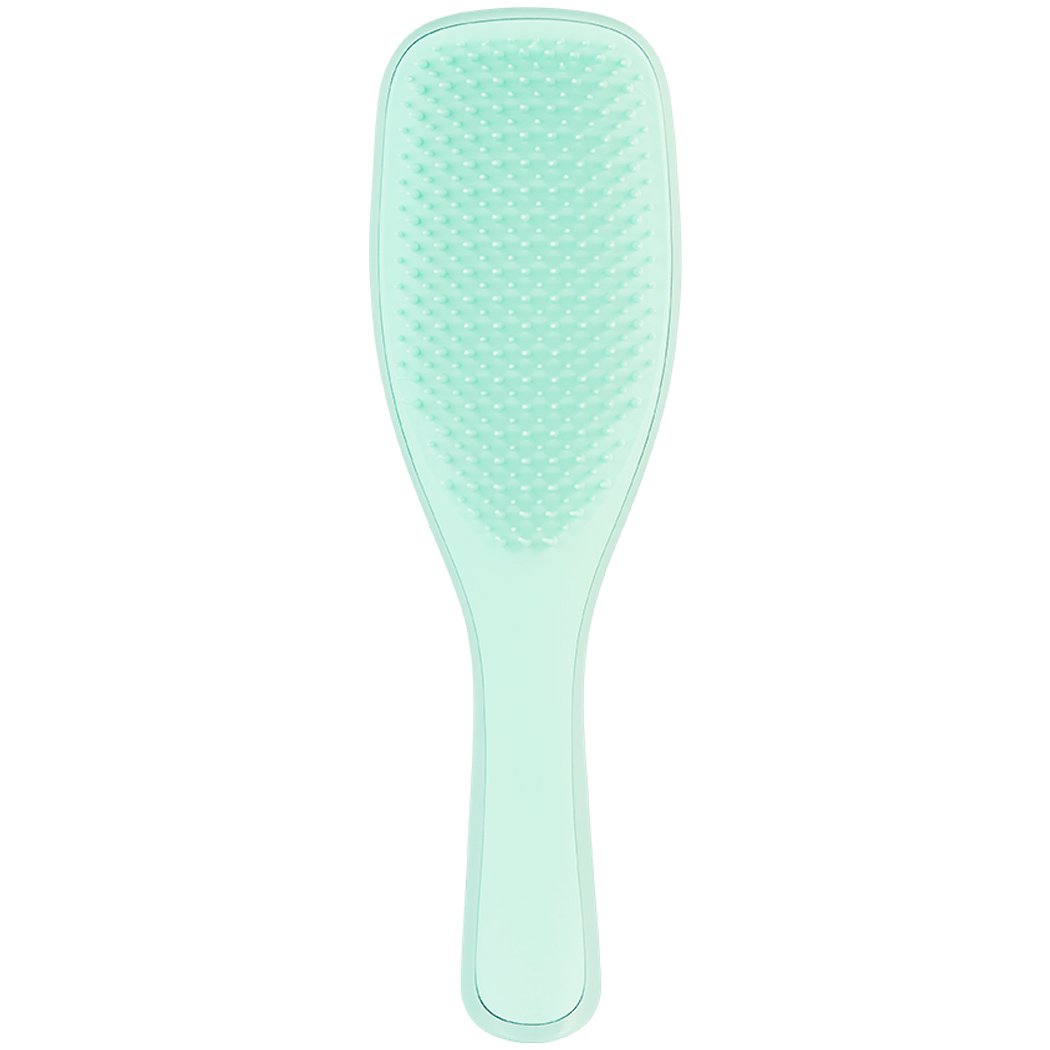 Tangle Teezer Wet Detangler Ιδανική Βούρτσα για Βρεγμένα Μαλλιά 1 τεμάχιο – Mint-Mint