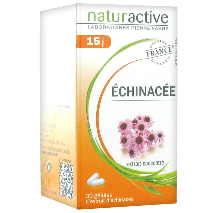 Naturactive Echinachea Συμπλήρωμα Διατροφής για Φυσική Ενίσχυση του Οργανισμού & Προστασία του Ανοσοποιητικού – 30 caps