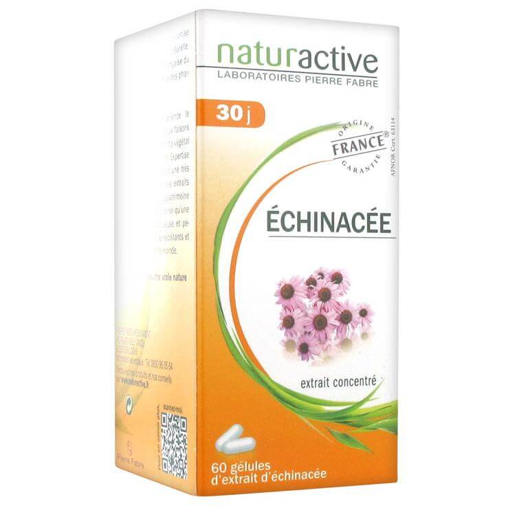 Naturactive Echinachea Συμπλήρωμα Διατροφής για Φυσική Ενίσχυση του Οργανισμού & Προστασία του Ανοσοποιητικού 60caps