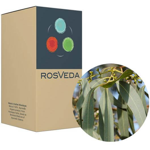RosVeda Pure Essential Oil Eucalyptus, 100% Φυτική Σύνθεση, Αιθέριο Έλαιο Ευκάλυπτος 10ml