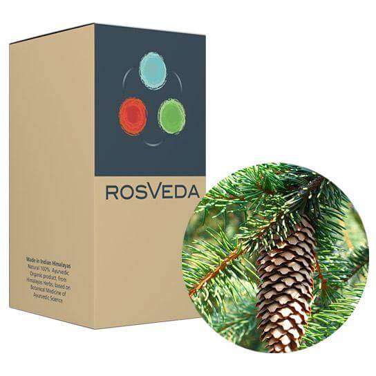 RosVeda Pure Essential Oil Pine, 100% Φυτική Σύνθεση, Αιθέριο Έλαιο Πεύκο 10ml