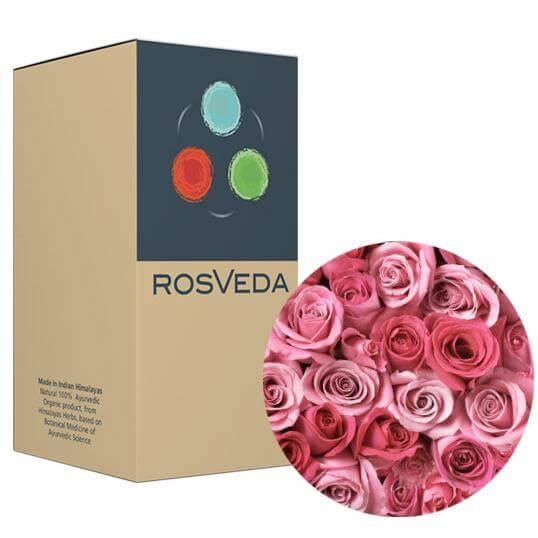 RosVeda Pure Essential Oil Rose, 100% Φυτική Σύνθεση, Αιθέριο Έλαιο Τριαντάφυλλο 10ml
