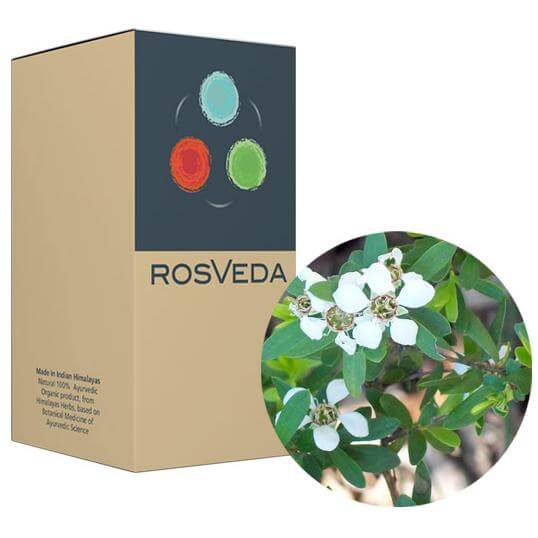 RosVeda Pure Essential Oil Tea Tree, 100% Φυτική Σύνθεση, Αιθέριο Έλαιο Τεϊόδενδρο 10ml