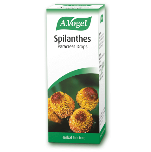 A.VOGEL A.Vogel Spilanthes Αντιμυκητιασικό Αντιφλεγμονώδες 50ml