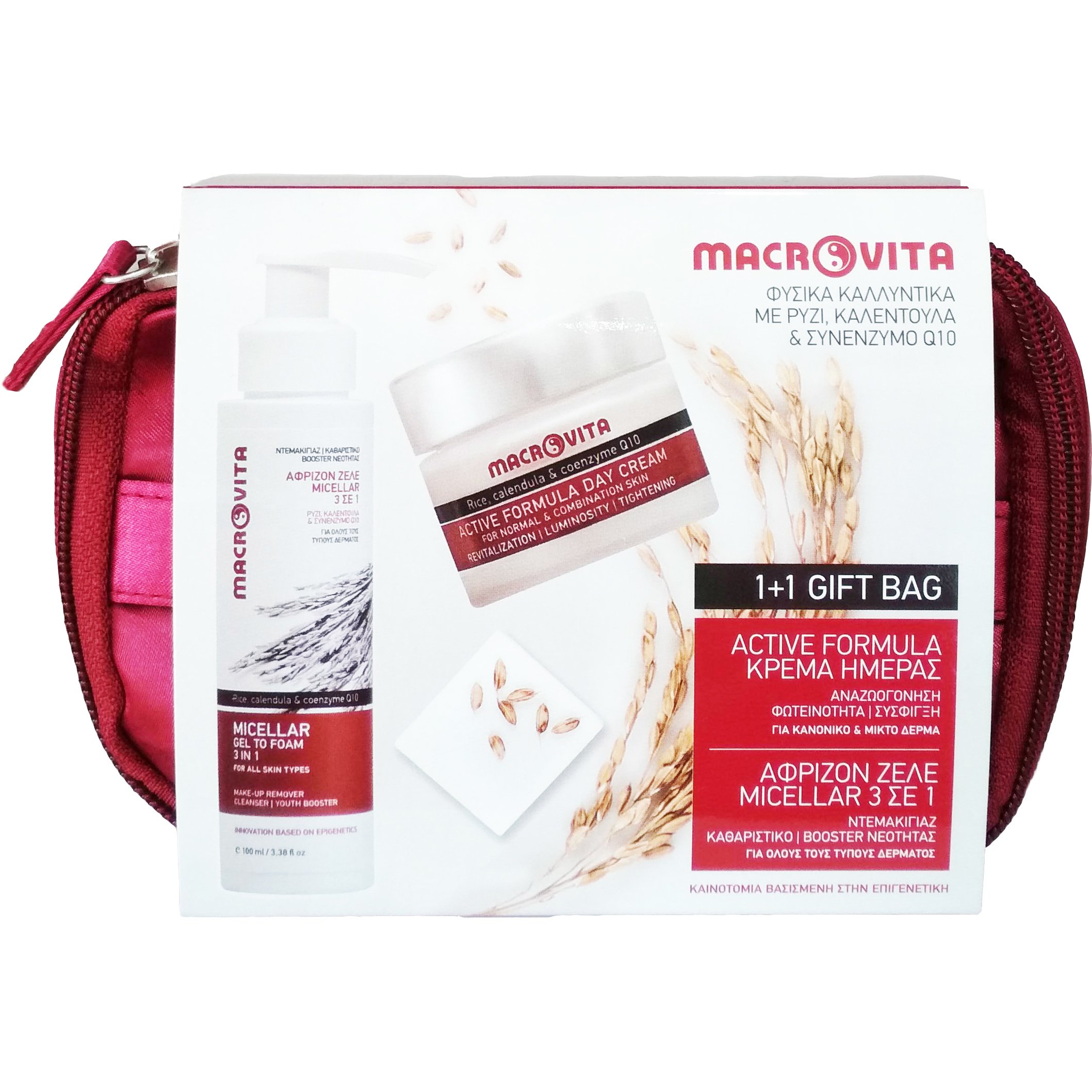 Macrovita Πακέτο Προσφοράς Micellar Gel to Foam 3 in 1, 100ml & Active Formula Day Cream Normal/Combination Skin 40ml 1+1 Δώρο